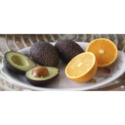 Mixte Orange table-juice + avocado 15 Kg
