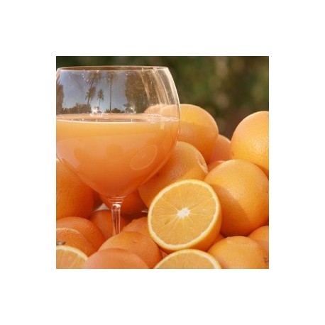 Orange Navelina juice 15 Kg