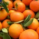 Mandarina Clemenvilla mesa 15 kg