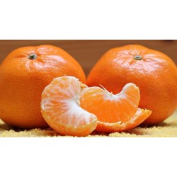 Mandarina Fortuna 15kg